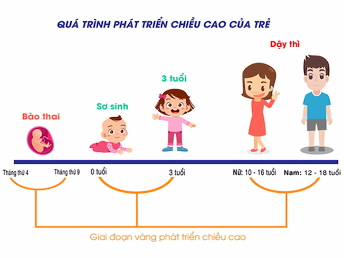 4 giai đoạn phát triển chiều cao của trẻ mà bố mẹ cần nắm rõ