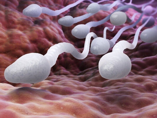 8 mẹo giúp tăng số lượng tinh trùng hiệu quả cho nam giới