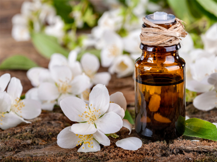 Bật mí những loại tinh dầu kích thích ham muốn và cách sử dụng đúng