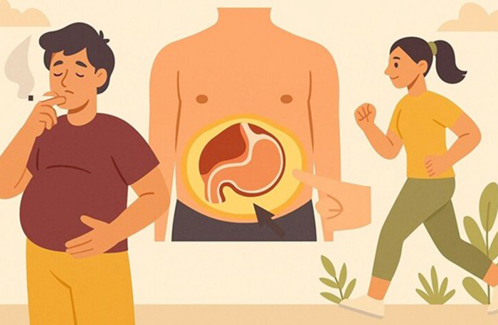 Mỡ Nội Tạng và Mỡ Dưới Da là gì? Cách phân biệt & giảm mỡ hiệu quả