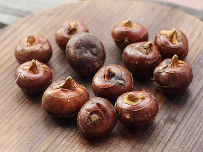 Top 4 loại củ quả giúp giảm viêm đường hô hấp nhanh, dễ tìm