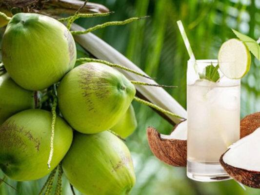 Bạn có biết uống nước dừa giúp cải thiện sức khỏe xương khớp hiệu quả?