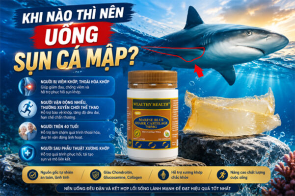 Khi nào thì nên uống sụn cá mập? Uống một ngày mấy viên?