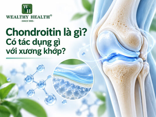 Chondroitin là gì? Có tác dụng gì với xương khớp?