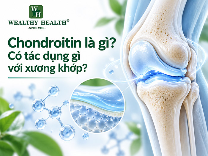 Chondroitin là gì? Có tác dụng gì với xương khớp?